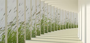 Adesivo Wall Wrapping